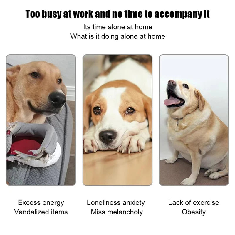 Rechargable Dog mini Ball Launcher