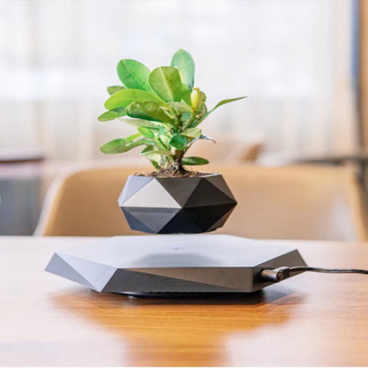 Levitating Air Pot Rotation (without Plants)