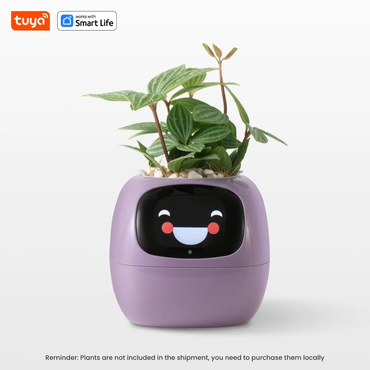 Ai Smart Planter, over 49 Rich Expressions,7 Smart Sensors,Ai Make Raising Plants Easy and Fun