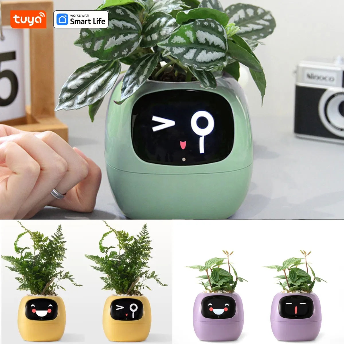 Ai Smart Planter, over 49 Rich Expressions,7 Smart Sensors,Ai Make Raising Plants Easy and Fun